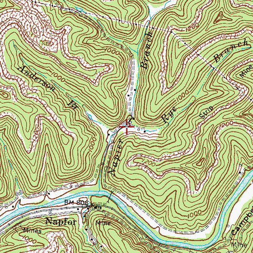 Topographic Map of Rye Branch, KY