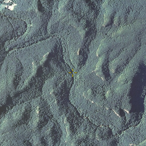 Aerial/Satellite Image of Sal Branch, KY