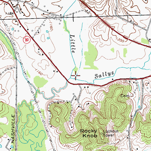 Topographic Map of Sallys Branch, KY