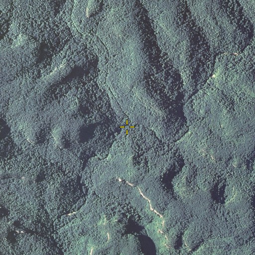 Aerial/Satellite Image of Salt Fork, KY