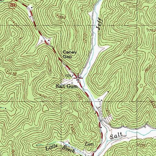 Topographic Map of Salt Gum, KY