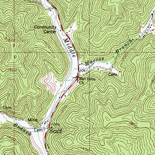 Topographic Map of Salt Gum Church, KY