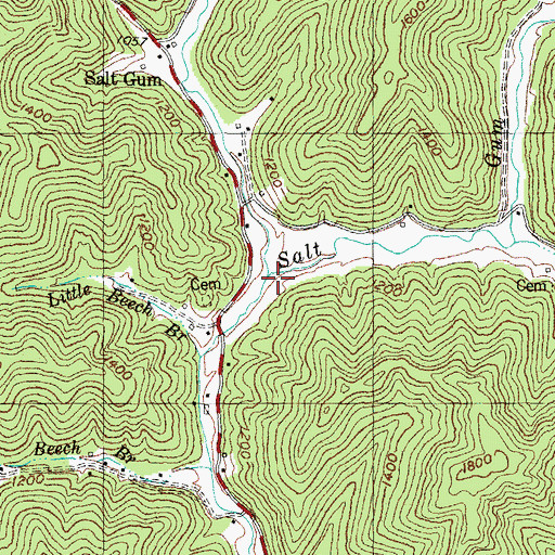 Topographic Map of Salt Gum Creek, KY
