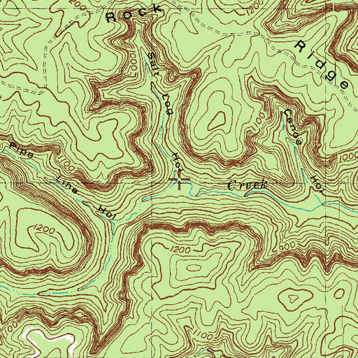 Topographic Map of Salt Log Hollow, KY