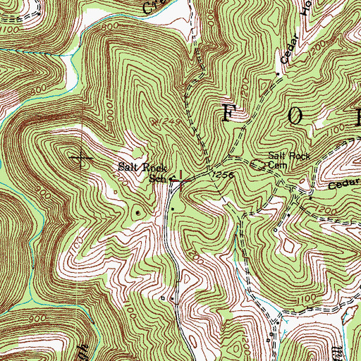 Topographic Map of Salt Rock School, KY
