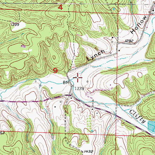 Topographic Map of Lynch Hollow, AR