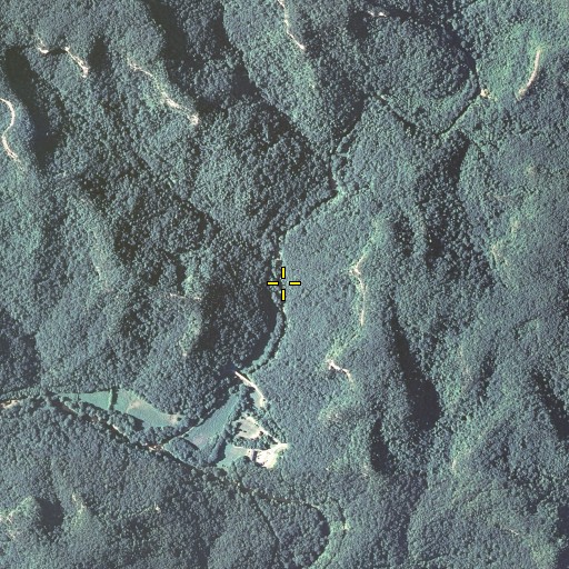 Aerial/Satellite Image of Sargent Branch, KY