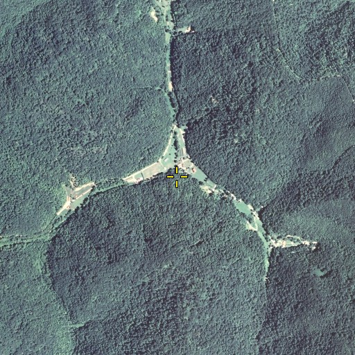 Aerial/Satellite Image of Sarvis Branch, KY