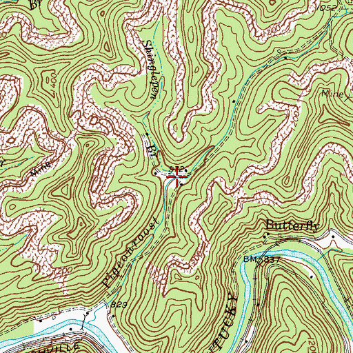 Topographic Map of Shinglepen Branch, KY