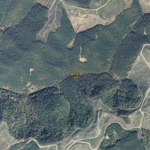 Aerial/Satellite Image of Short Fork, KY