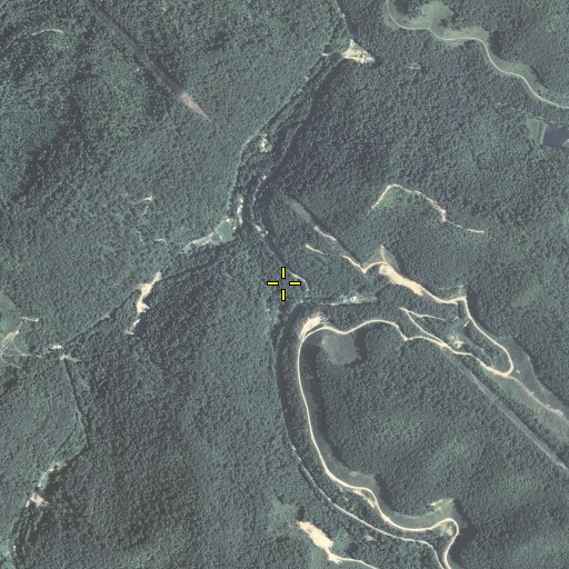 Aerial/Satellite Image of Short Fork, KY