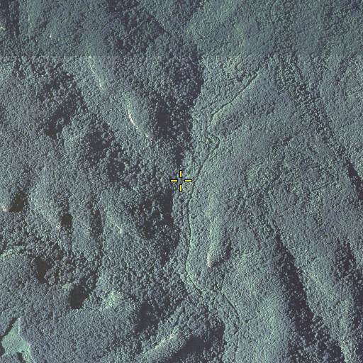 Aerial/Satellite Image of Silvermine Branch, KY