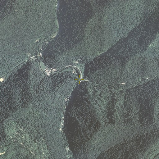 Aerial/Satellite Image of Simms Branch, KY