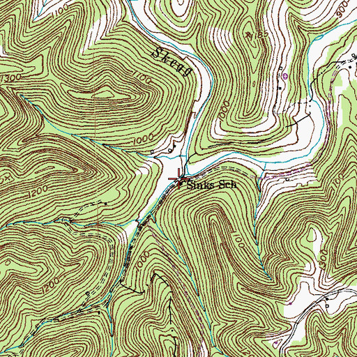 Topographic Map of Sinks School, KY