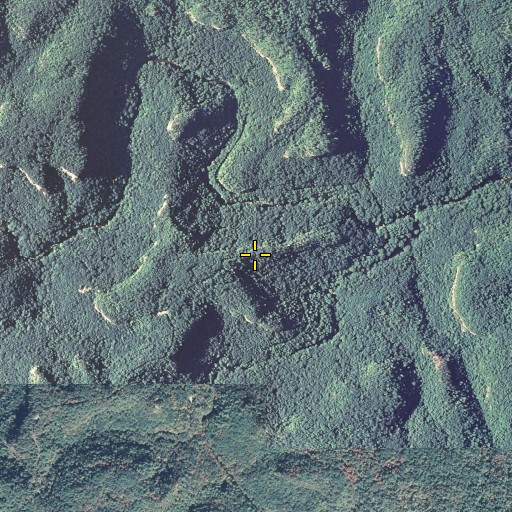 Aerial/Satellite Image of Sky Bridge, KY