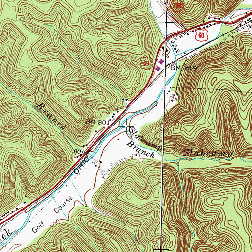 Topographic Map of Slabcamp Branch, KY