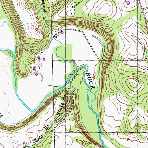 Topographic Map of Slate Branch, KY