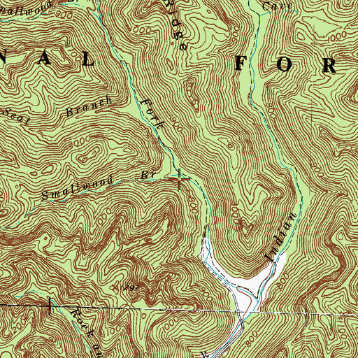Topographic Map of Smallwood Branch, KY