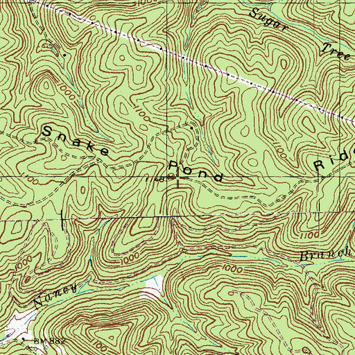 Topographic Map of Snake Pond Ridge, KY