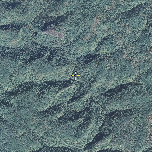 Aerial/Satellite Image of Sons Branch, KY