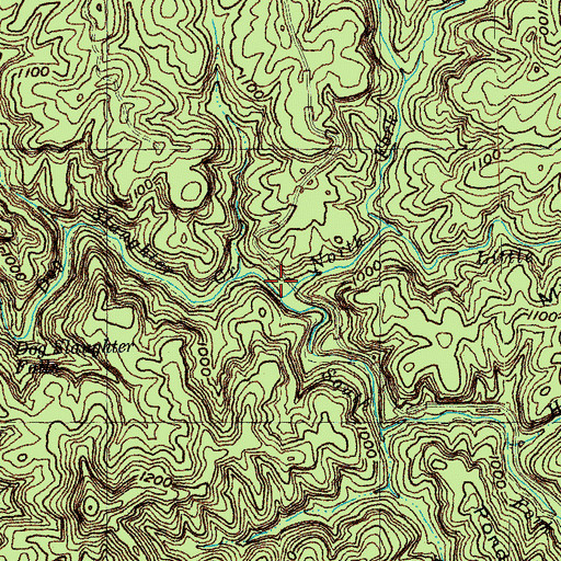 Topographic Map of South Fork Dog Slaughter Creek, KY