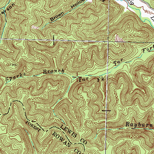 Topographic Map of Sparks Branch, KY