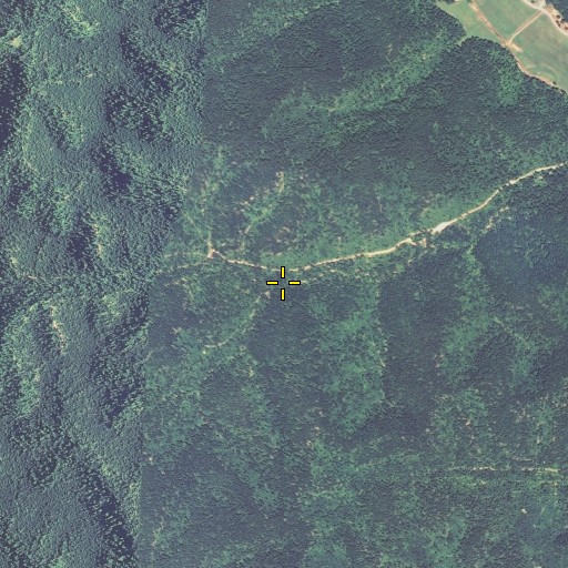 Aerial/Satellite Image of Sparks Branch, KY
