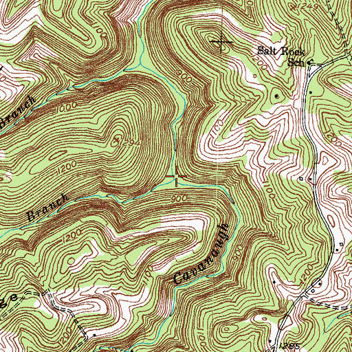 Topographic Map of Spice Lick Branch, KY