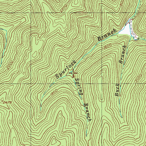Topographic Map of Spring Branch, KY