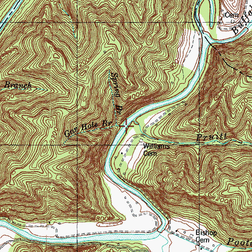 Topographic Map of Spring Branch, KY