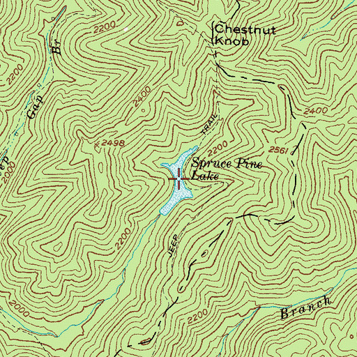 Topographic Map of Spruce Pine Lake, KY