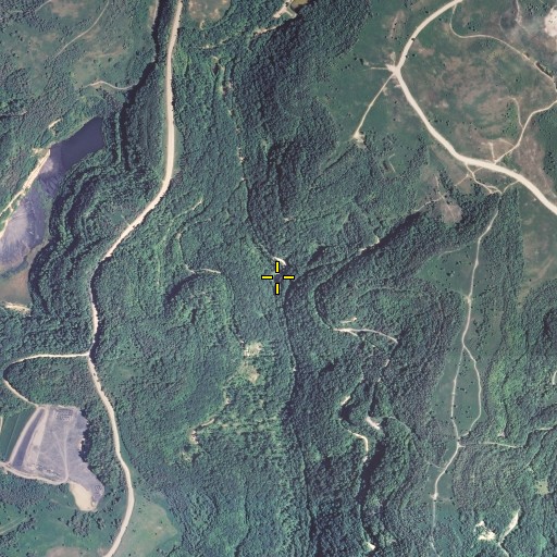 Aerial/Satellite Image of Squirrel Hollow, KY