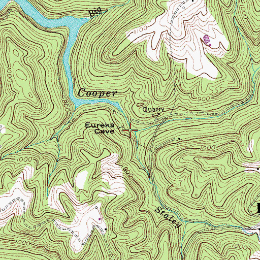 Topographic Map of Staley Branch, KY
