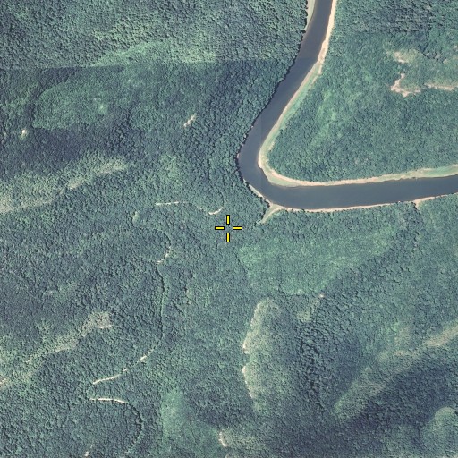 Aerial/Satellite Image of Stevens Branch, KY
