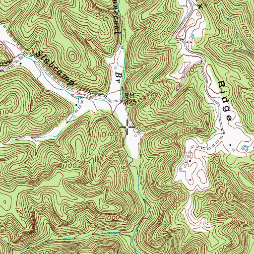 Topographic Map of Stonecoal Branch, KY