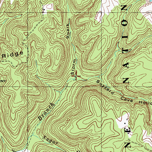 Topographic Map of Storm Roark Hollow, KY