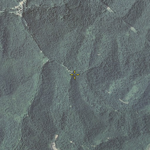 Aerial/Satellite Image of Stratton Fork, KY