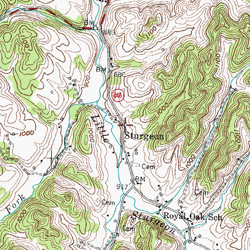 Topographic Map of Sturgeon, KY