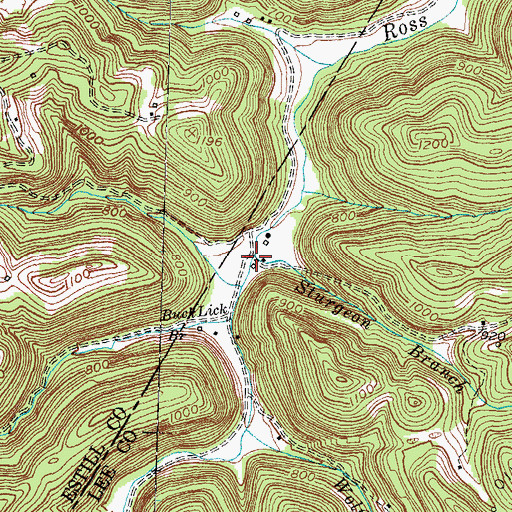 Topographic Map of Sturgeon Branch, KY