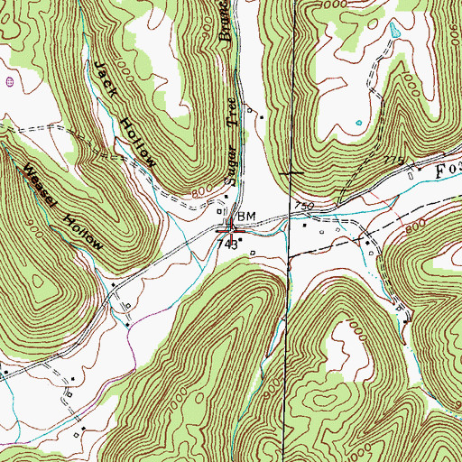 Topographic Map of Sugar Tree Branch, KY