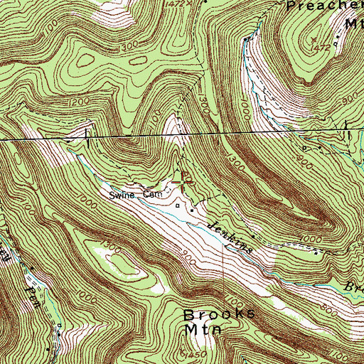 Topographic Map of Swine Cemetery, KY