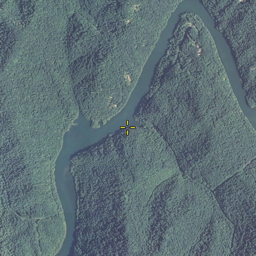 Aerial/Satellite Image of Tantrough Fork, KY