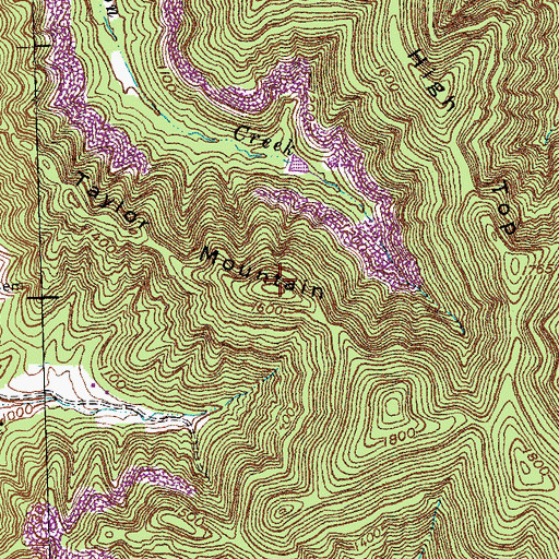 Topographic Map of Taylor Mountain, KY