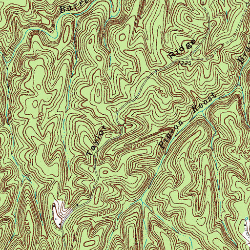 Topographic Map of Taylor Ridge, KY