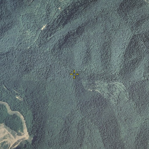 Aerial/Satellite Image of Templeton Fork, KY