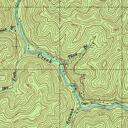 Topographic Map of Thad Branch, KY