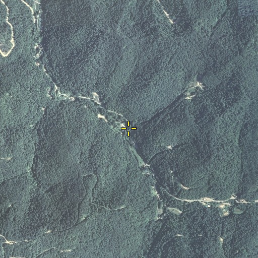 Aerial/Satellite Image of Thad Branch, KY