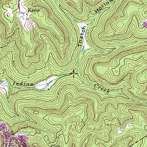 Topographic Map of Thatch Hollow, KY