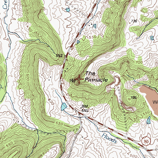 Topographic Map of The Pinnacle, KY