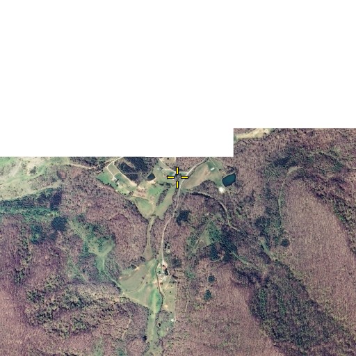 Aerial/Satellite Image of Thomas Branch, KY